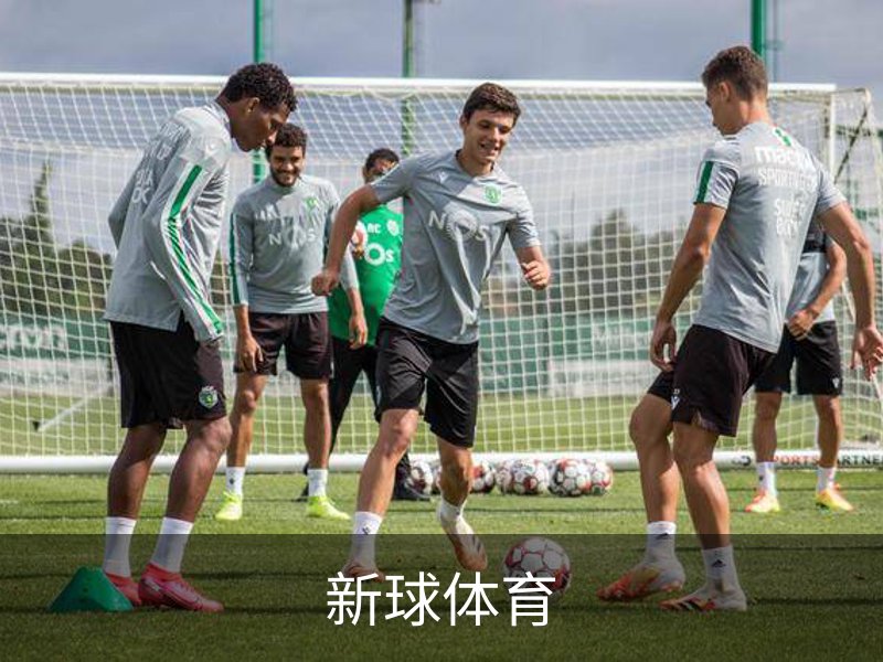 了解新球体育